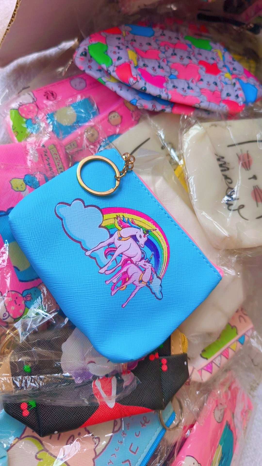 Coin pouches