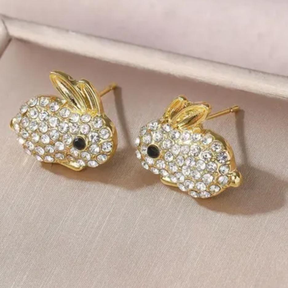 Imported Earrings