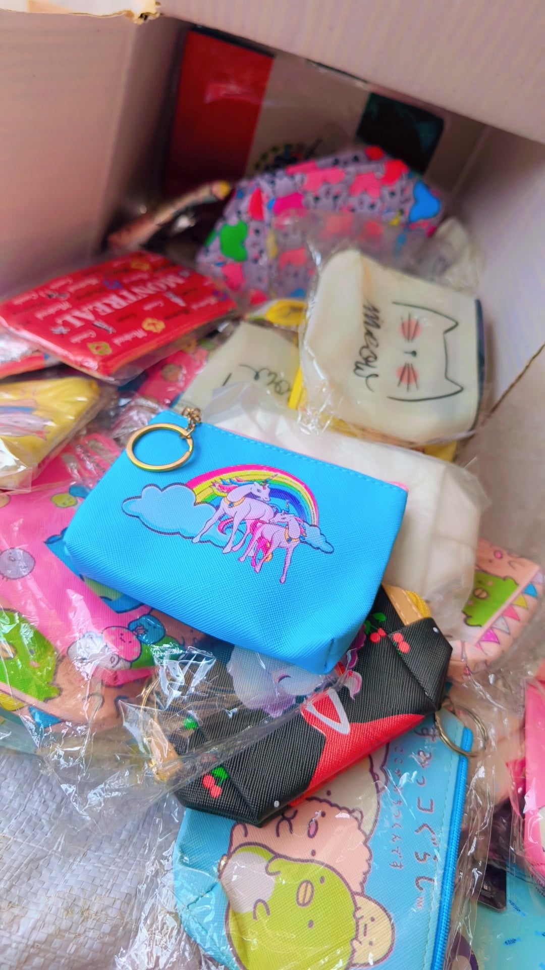 Coin pouches